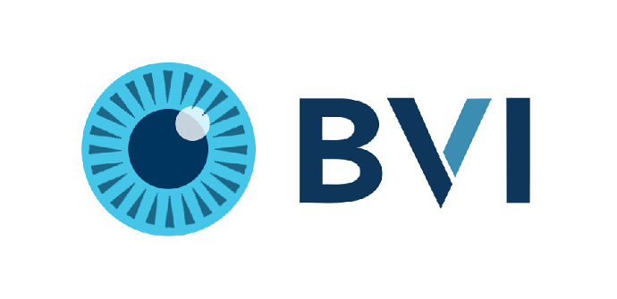 Logo Biver Visitec BVI