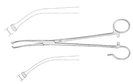 WHITE TONSIL FORCEPS 7-1/4 CURVED