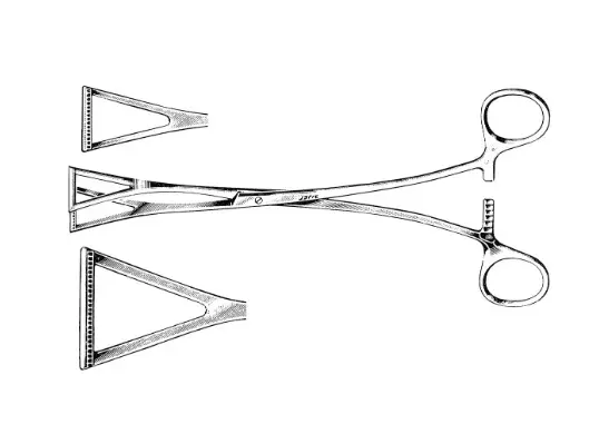 COLLINS TISSUE FORCEPS, STRAIGHT, 8, 13.5MM JAWS