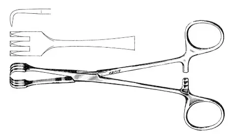 LAHEY TRACTION FORCEPS 6-1/4